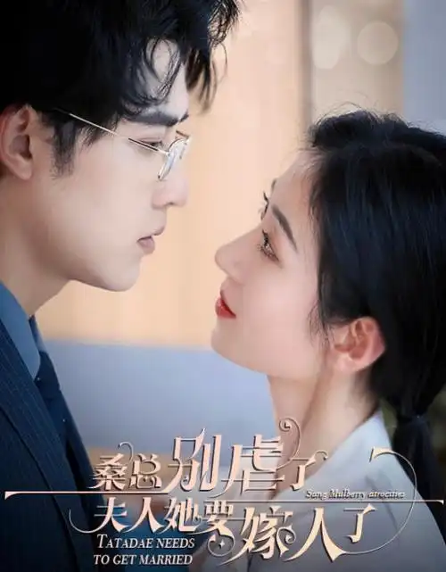 城南旧巷 年代剧全集免费在线观看
